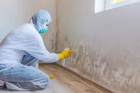 Best Mold Prevention Services  in Hlside, IL