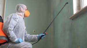 Best Residential Mold Inspection & Testing  in Hlside, IL