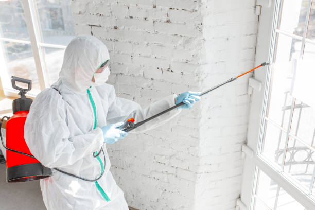 Best Commercial Mold Inspection  in Hlside, IL