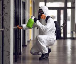 Best Basement Mold Removal  in Hlside, IL